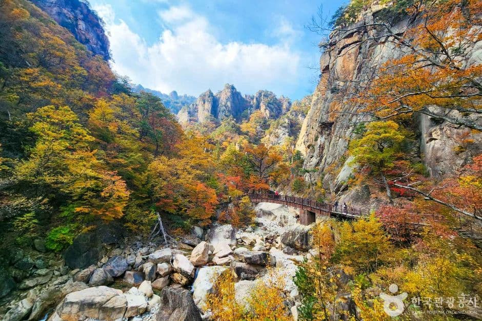 단풍 물든 설악산 주전골