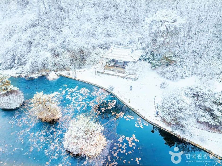 체화정의 겨울
