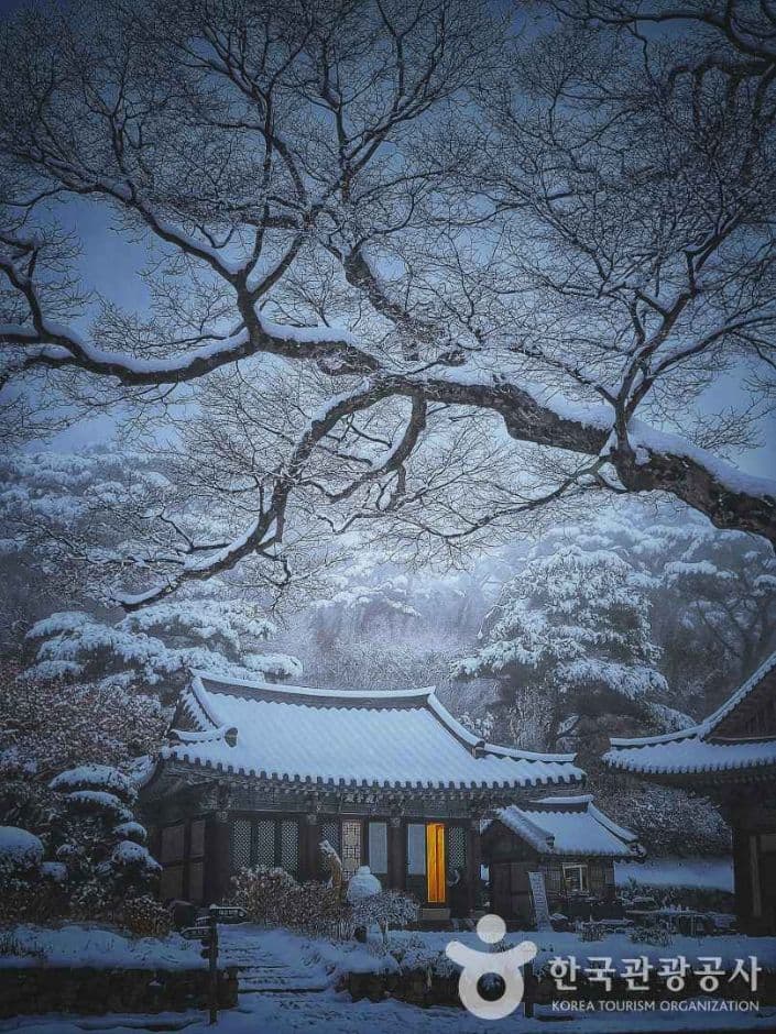 산사의 설야