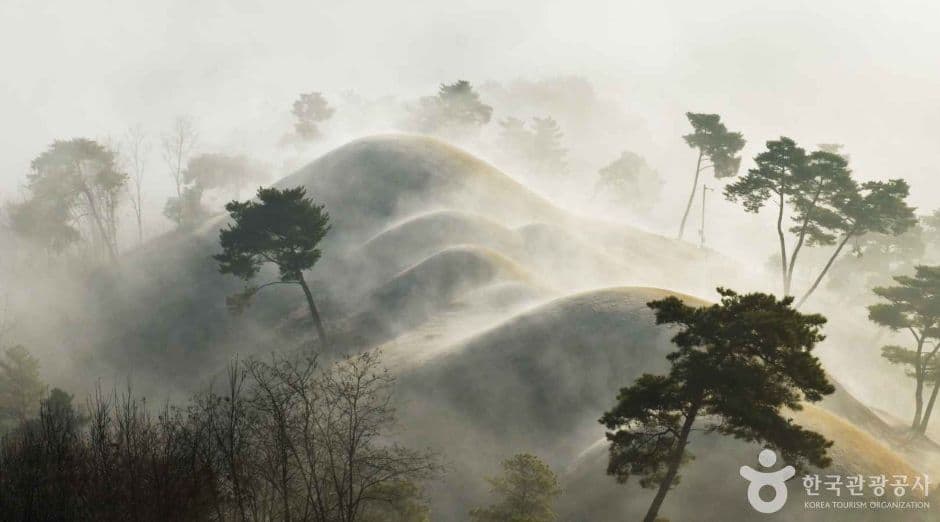 안개속 대가야 고분