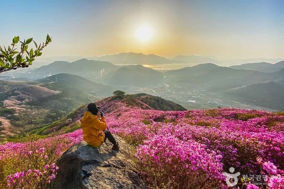 영취산의 봄